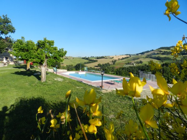 The swimming pool The swimming pool
